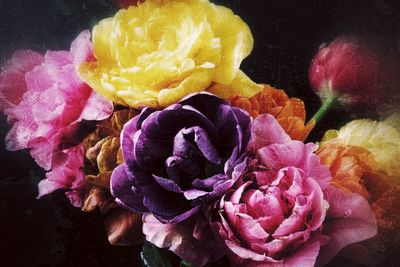 Close-up of rose bouquet