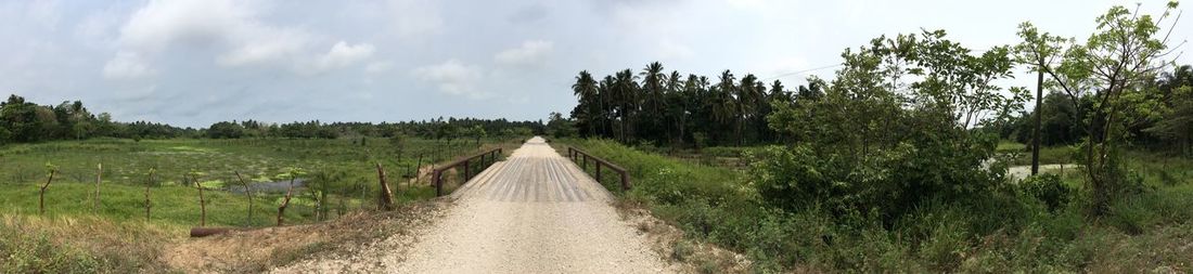 Panoramic view of road amidst trees against sky