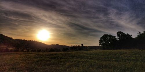 Scenic view of field against sky during sunset