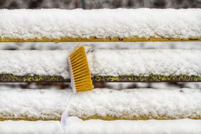 Close-up of snow on plants against white background