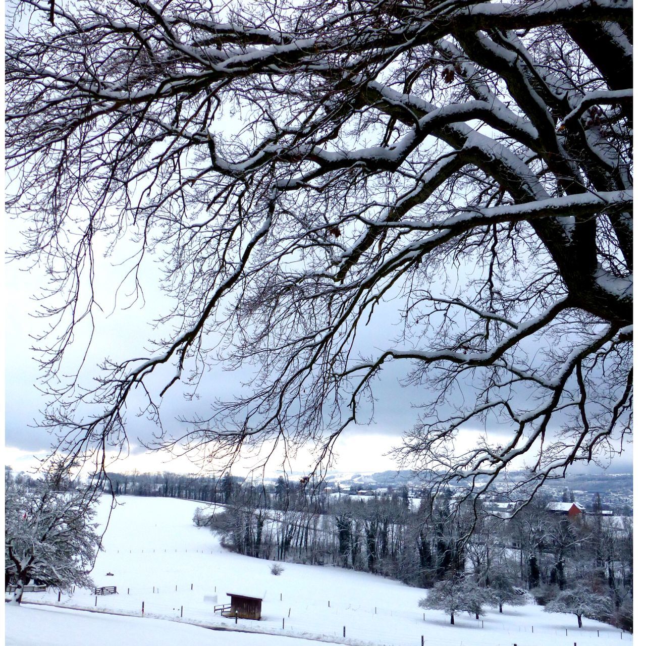 Herrliberg, Blüemlisalp