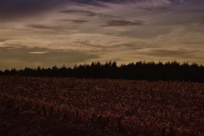 Scenic view of field against sky during sunset