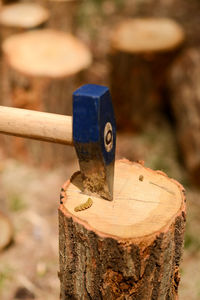 Close-up of machine part on tree stump