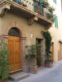 Potted plants outside house