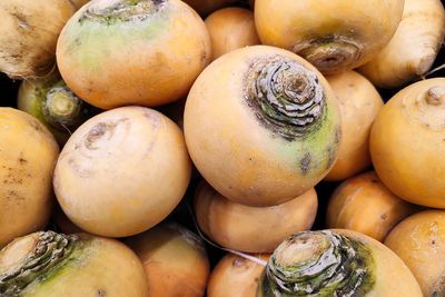 High angle view of pumpkins for sale at market stall