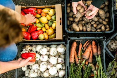 High angle view of hand holding vegetables