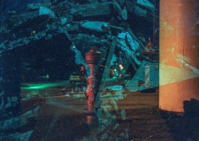 Illuminated tree by sea at night