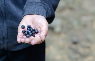 Midsection of person holding blueberries