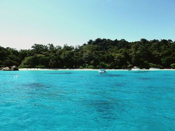 Scenic view of swimming pool against clear sky