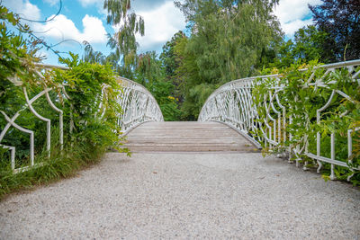 Footpath amidst trees against sky