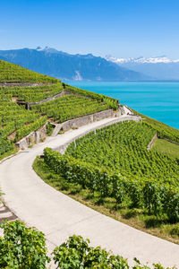 Scenic view of road by sea against sky