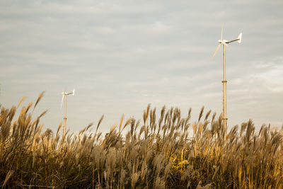 Wind turbines on field against cloudy sky