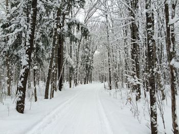 Up north wisconsin snowmobiling.  