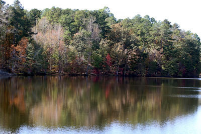 Reflection of trees in lake against sky