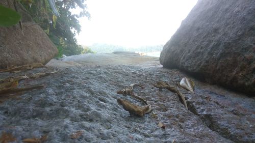 Scenic view of river against sky