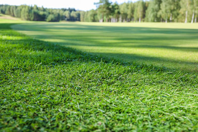 Scenic view of golf course