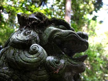 Close-up of statue against trees