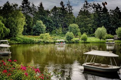 Boats in lake against trees