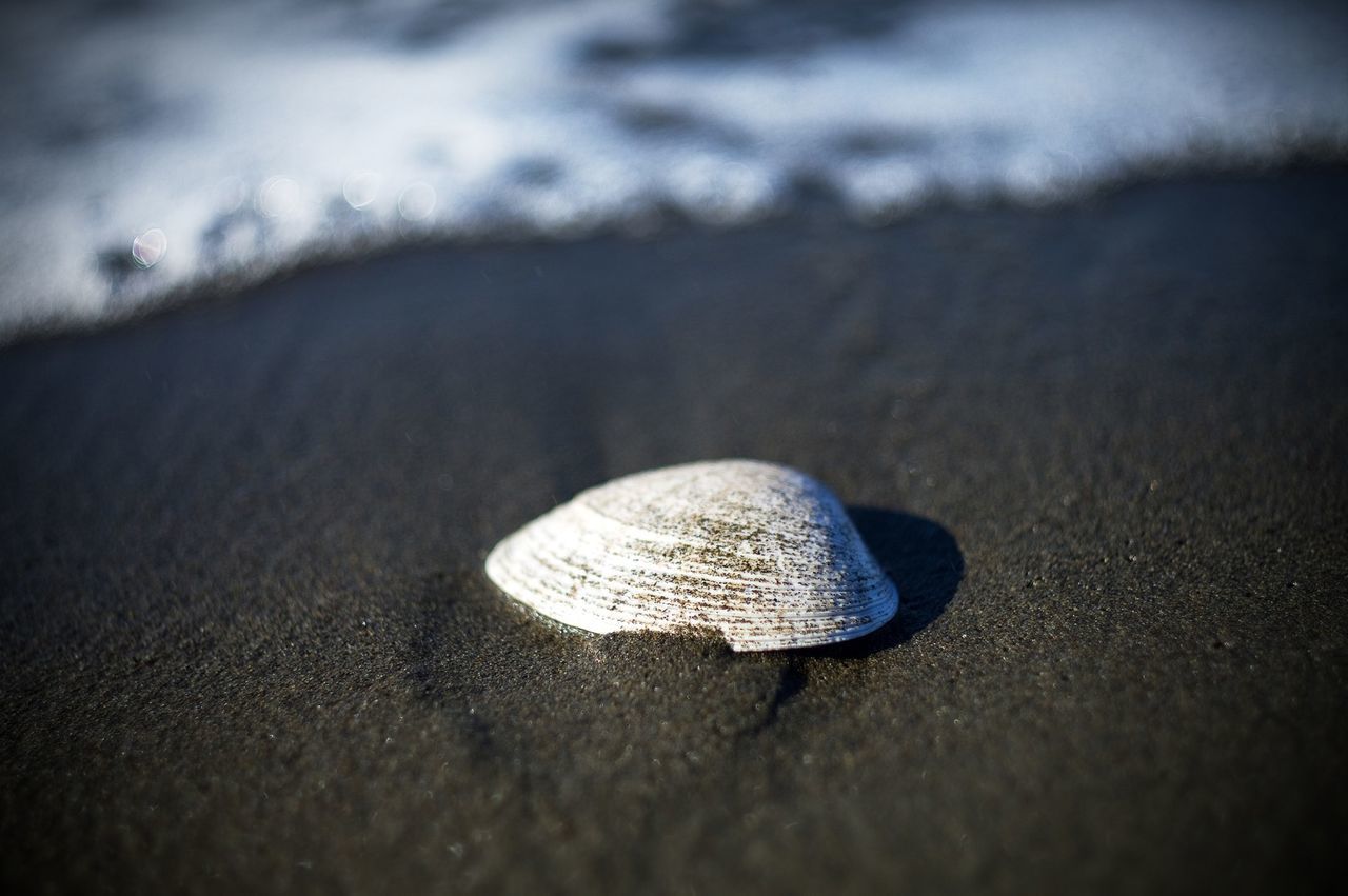 The sea and me