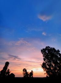 Low angle view of silhouette trees against sky at sunset