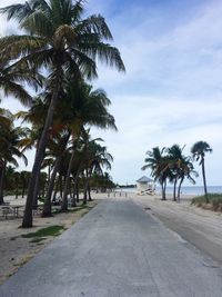 Road by palm trees against sky