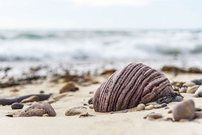 Close-up of sedimentary rock on beach