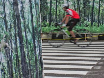 Man with bicycle on tree