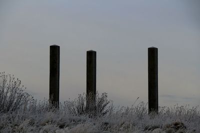 Wooden post on grassy field