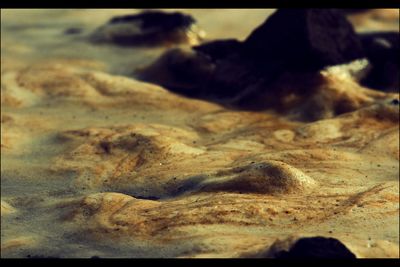 Close-up of rocks on shore