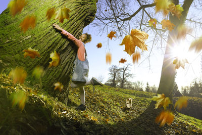 Girl embracing mossy tree trunk in forest during autumn