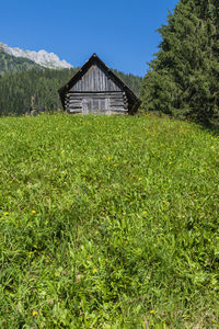 House on field against sky