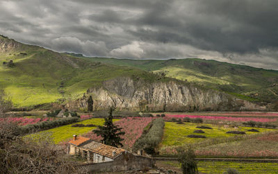 Scenic view of agricultural field against storm clouds