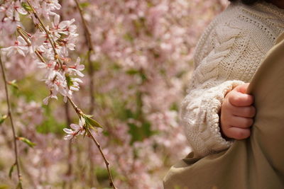 Cropped image of baby wearing sweater by blossoms