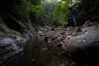 Woman standing by stream in forest