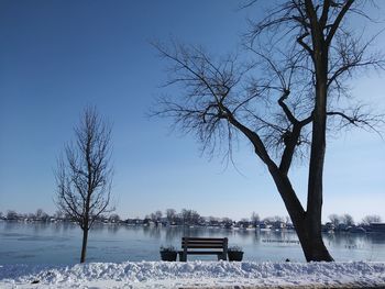 Bare trees by lake against sky during winter