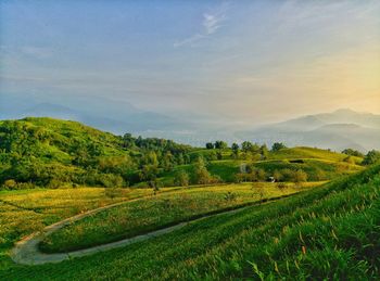 Scenic view of landscape against sky