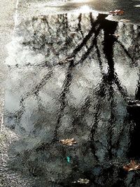 Close-up of plants against blurred water