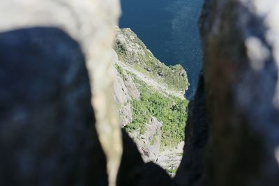 Close-up of green leaf on rock against sky