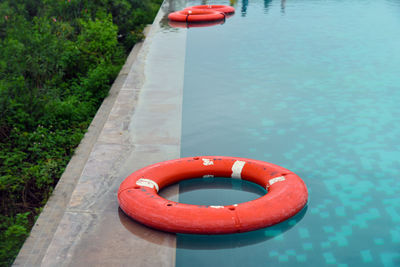 High angle view of red floating on swimming pool