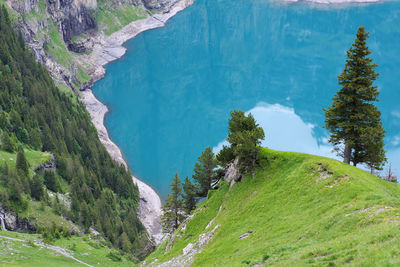 High angle view of trees on mountain