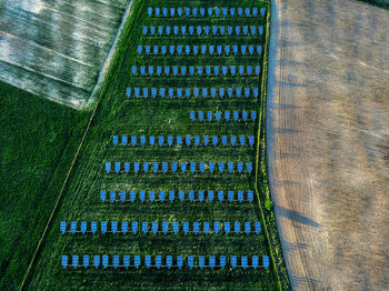High angle view of corn field