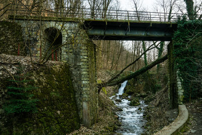 Bridge over river amidst trees in forest