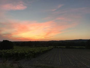 Scenic view of field against sky during sunset