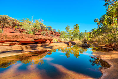 Reflection of trees in water against blue sky