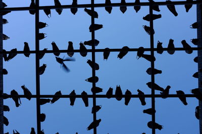 Low angle view of silhouette fence against blue sky