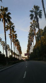Road amidst palm trees against sky