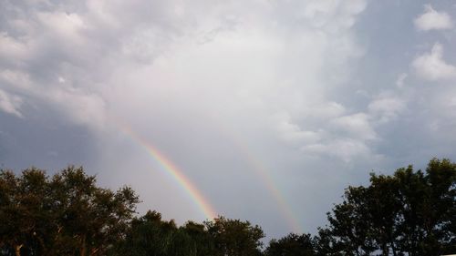 Low angle view of rainbow over trees