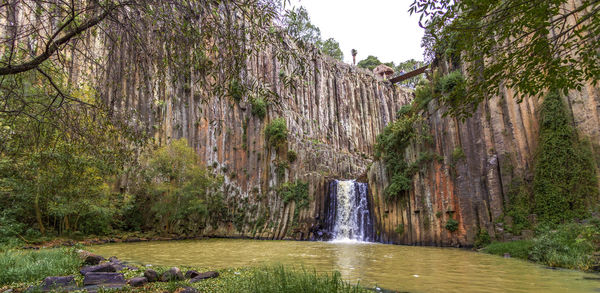 Scenic view of waterfall in forest