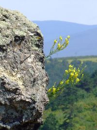 Close-up of rocks on mountain against sky