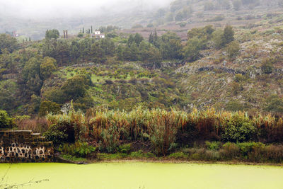 Scenic view of landscape in foggy weather